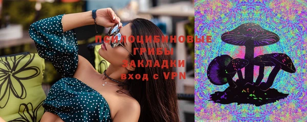 jwh Алзамай