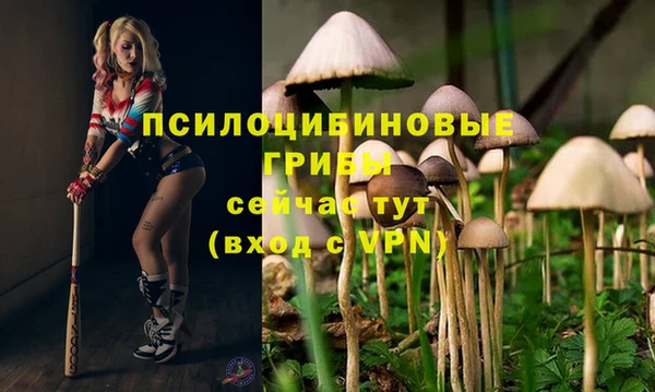 кокаин перу Алексин