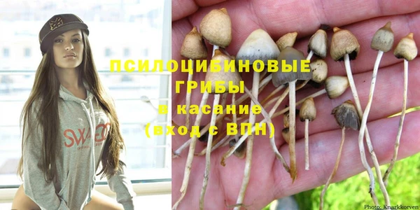 МДПВ Алексеевка
