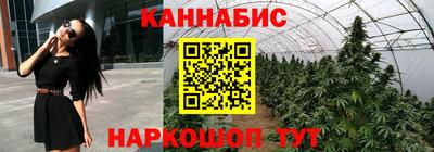 гидропоника Аргун