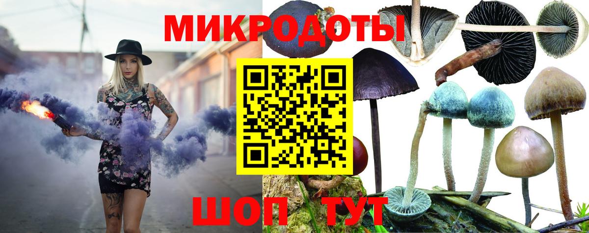 как найти наркотики  Вход с VPN  Белореченск  Псилоцибиновые грибы мицелий 