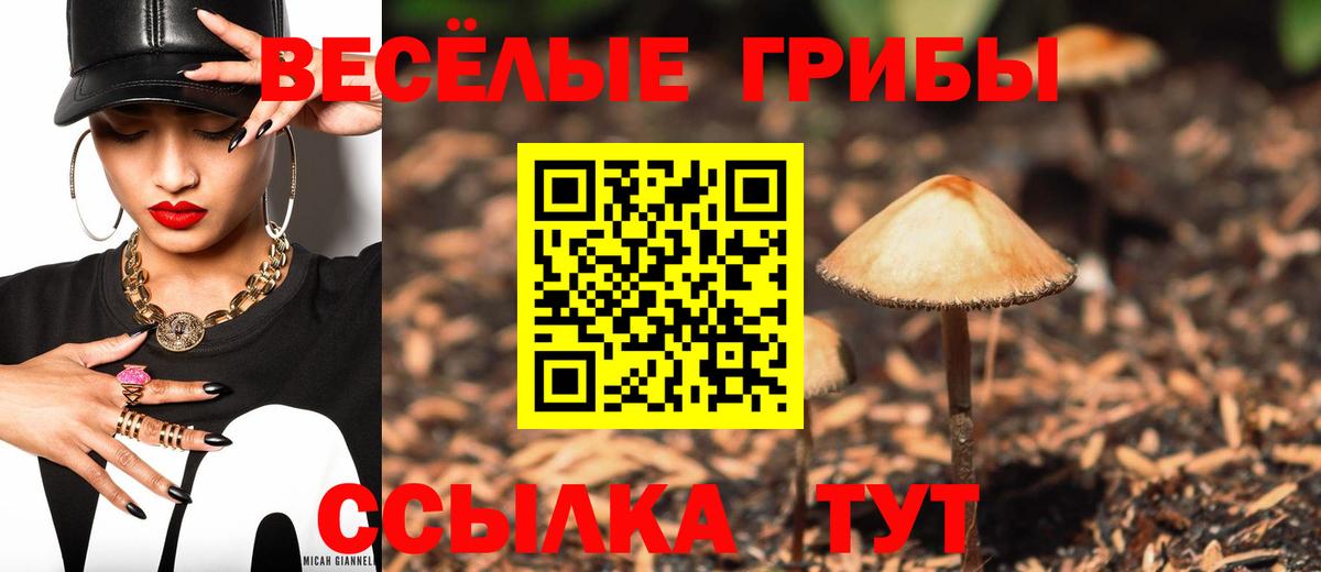 Галлюциногенные грибы мухоморы Белореченск